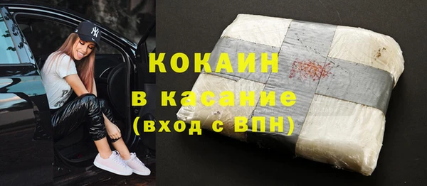 хмурый Алексин