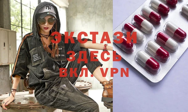 стаф Алзамай