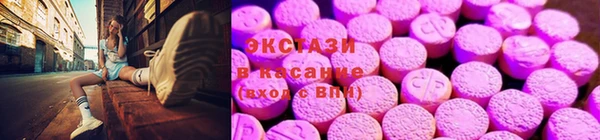 стаф Алзамай