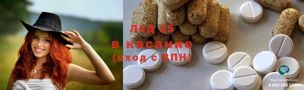 хмурый Алексин