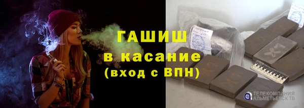 хмурый Алексин