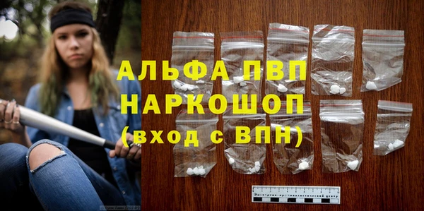 стаф Алзамай
