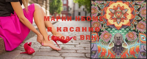 хмурый Алексин