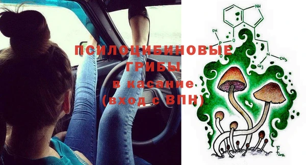 стаф Алзамай