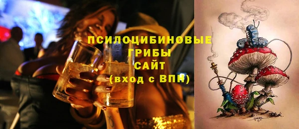 хмурый Алексин