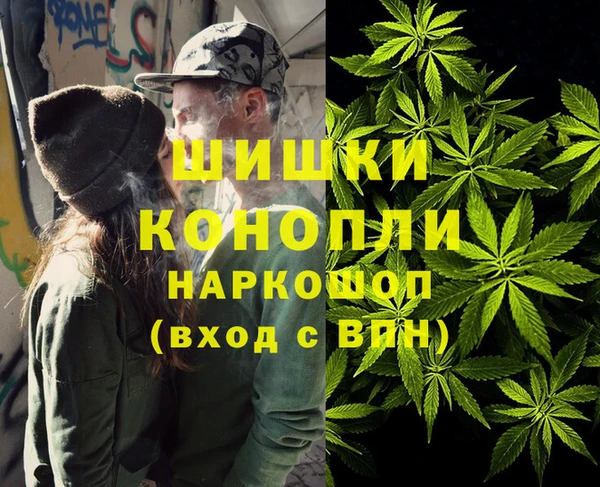 хмурый Алексин