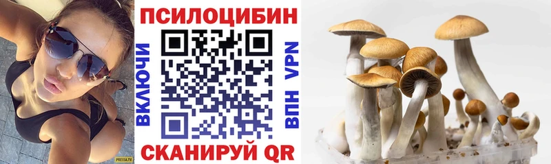 Галлюциногенные грибы Psilocybine cubensis  сколько стоит  Хвалынск 